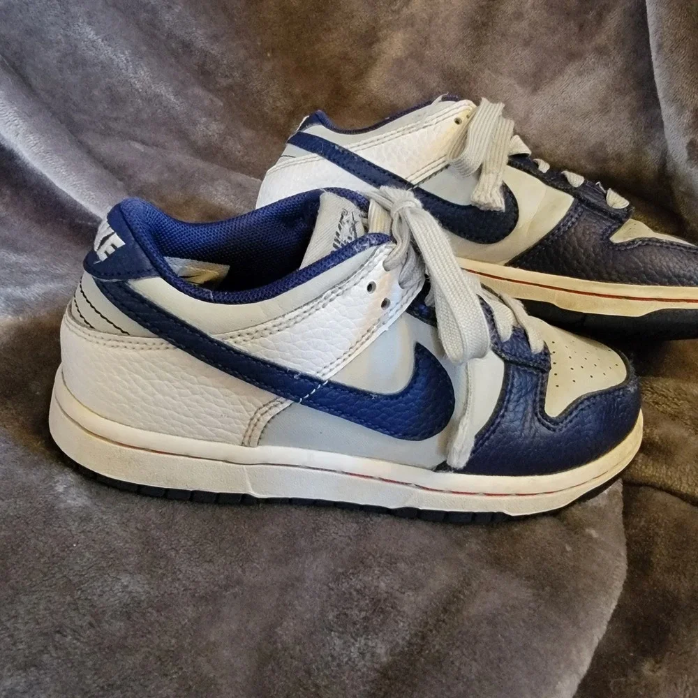Nike Dunk Low Kids Size 13C Blue White Good Tumbled Leather DC9562-400